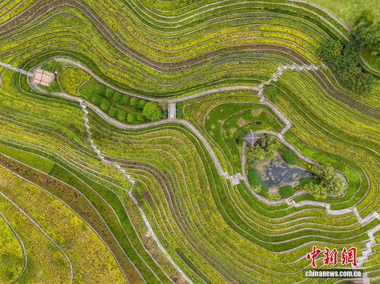 航拍大方县奢香古镇的古彝梯田，景色宜人。