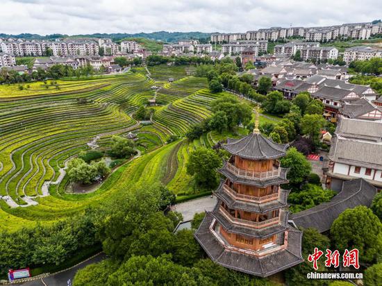 航拍大方县奢香古镇的古彝梯田，景色宜人。