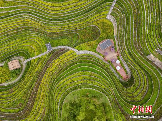 航拍大方县奢香古镇的古彝梯田，景色宜人。