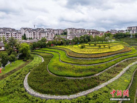 航拍大方县奢香古镇的古彝梯田，景色宜人。