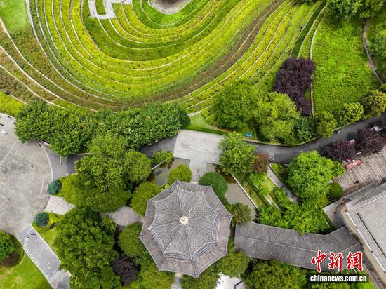 航拍大方县奢香古镇古彝梯田一隅。