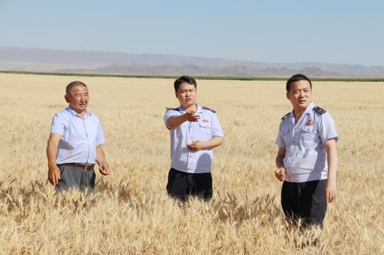图为:塔城地区税务部门深入田间地头,与农户面对面宣讲涉税惠民政策e