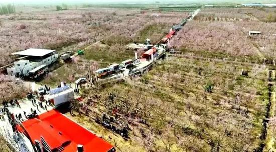 和田县春赏桃花海文化旅游系列活动在拉依喀乡桃花源村举办。