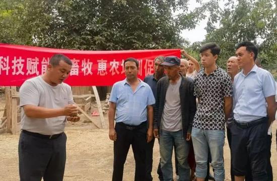 专家深入田间地头,现场开展技术培训。