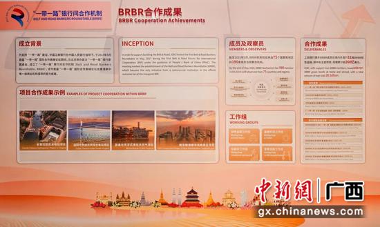 BRBR合作成果 BRBR合作成果