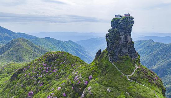 资料图:贵州省铜仁市梵净山拍摄的杜鹃花(无人机照片)。叶顺强 摄 资料图:贵州省铜仁市梵净山拍摄的杜鹃花(无人机照片)。叶顺强 摄