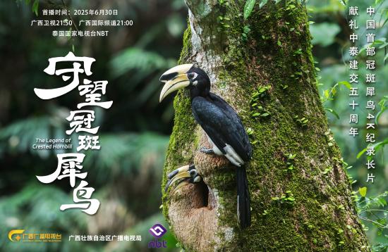 纪录片 《守望冠斑犀鸟》献礼中泰建交50周年