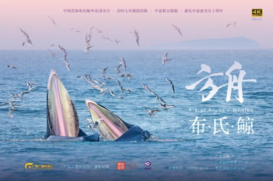 纪录片《方舟-布氏鲸》献礼中泰建交50周年