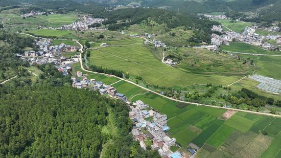 岑巩县水尾镇驾鳌村岩下坝区水稻制种基地。李昌焯 摄 岑巩县水尾镇驾鳌村岩下坝区水稻制种基地。李昌焯 摄