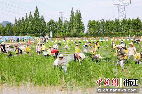 8月2日，活动现场。（主办方供图）