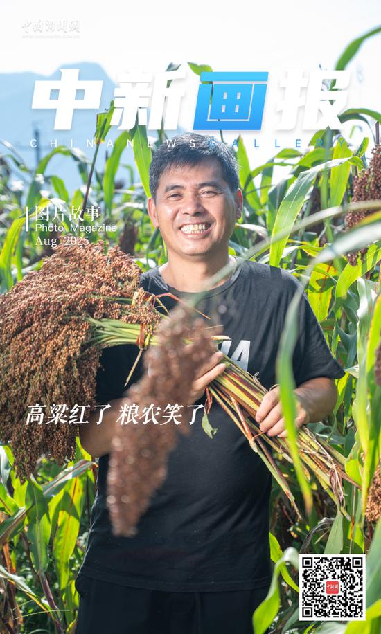 盛夏,赤水河两岸的山地上,红缨子高粱垂穗如浪,一束束渐渐红起来的高粱穗,是茅台酒厂里每一瓶酒的起点。茅台有机高粱基地里,粮农们穿梭其间采摘高粱,在这片土地上用高粱酿出酒瓶里的丰饶底色,也在绿色工业和生态农业的融合里,酿出生活里的醇香。 盛夏,赤水河两岸的山地上,红缨子高粱垂穗如浪,一束束渐渐红起来的高粱穗,是茅台酒厂里每一瓶酒的起点。茅台有机高粱基地里,粮农们穿梭其间采摘高粱,在这片土地上用高粱酿出酒瓶里的丰饶底色,也在绿色工业和生态农业的融合里,酿出生活里的醇香。