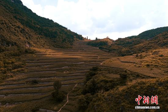 茅台有机高粱基地覆盖仁怀、习水、金沙、播州和汇川等5县(市、区),有机认证面积100万亩,常年种植面积60余万亩。其中,有许多都是和茅台长期合作的粮农。此外,茅台在高粱种子、有机肥等物资及生物制剂、绿肥种子、农业政策性保险等资金方面予以粮农扶持,累计投入已超18亿元。 茅台有机高粱基地覆盖仁怀、习水、金沙、播州和汇川等5县(市、区),有机认证面积100万亩,常年种植面积60余万亩。其中,有许多都是和茅台长期合作的粮农。此外,茅台在高粱种子、有机肥等物资及生物制剂、绿肥种子、农业政策性保险等资金方面予以粮农扶持,累计投入已超18亿元。