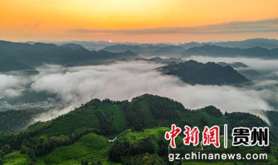 贵州省黔西南布依族苗族自治州望谟县郊纳镇里乐紫茶山，旭日东升。张帆 摄