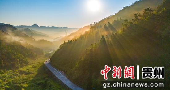 贵州省黔西南布依族苗族自治州望谟县郊纳镇，美妙的光束透过茂密的树林。张帆 摄