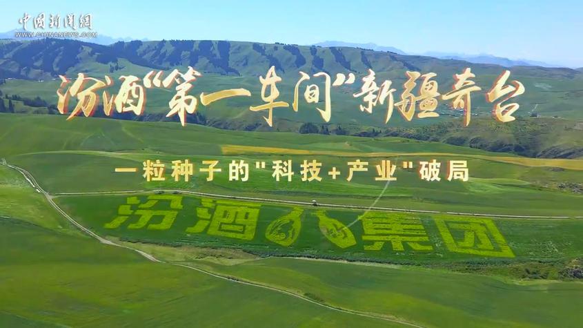 在“大麦之乡”，一场双向奔赴的故事正在上演