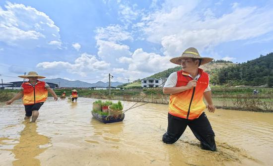 图为志愿者搬运秧苗。谢茂宇 摄