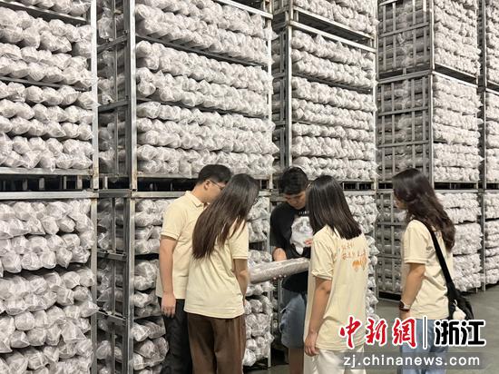 近日，实践团调研菌棒生产基地。（浙江理工大学供图）