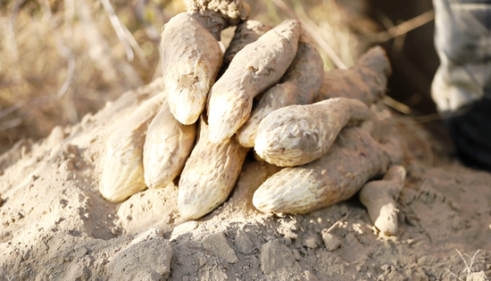 02a6f1ea-bc8d-424e-9f3c-178fde14c757