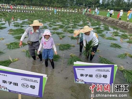 近日，实践活动现场。（主办方供图）