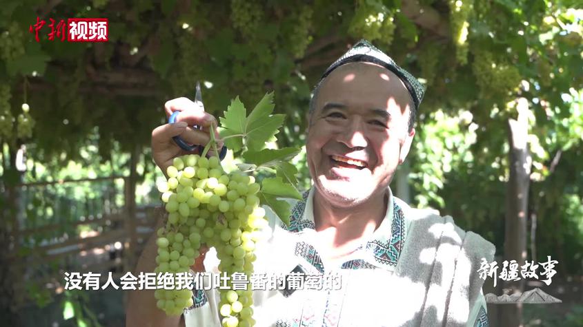 【新疆故事】葡萄架下的爽朗笑声