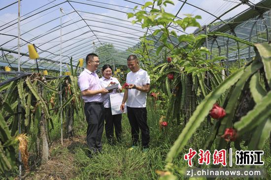 农行温州分行工作人员为农户提供金融服务。 农行温州分行 供图 农行温州分行工作人员为农户提供金融服务。 农行温州分行 供图