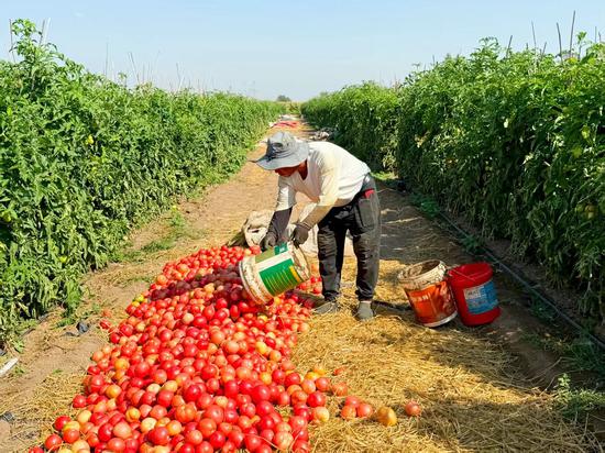 由重庆市天动局、市防角逐中