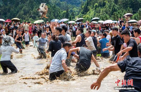 图为民众在稻田里参加抓鸭捕鱼趣味活动。罗京来 摄 图为民众在稻田里参加抓鸭捕鱼趣味活动。罗京来 摄