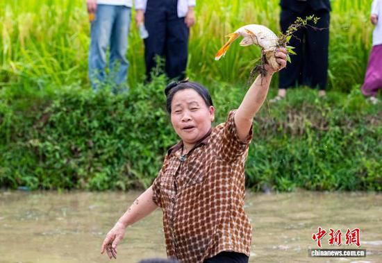 图为一位村民展示自己抓到的鱼。罗京来 摄 图为一位村民展示自己抓到的鱼。罗京来 摄