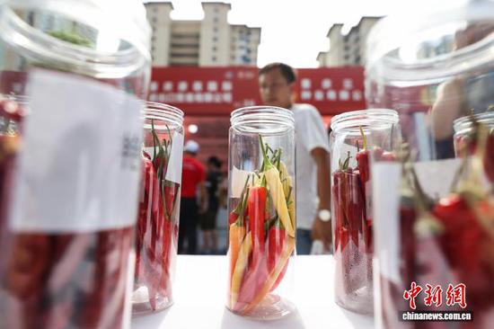 图为辣博会展出的鲜椒吸引参观者。中新社记者 瞿宏伦 摄