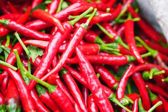 刚采摘的艳椒色泽鲜亮。沈启照 摄