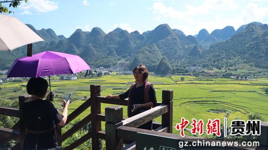 图为交流团一行在兴义万峰林打卡。李和江 摄 图为交流团一行在兴义万峰林打卡。李和江 摄