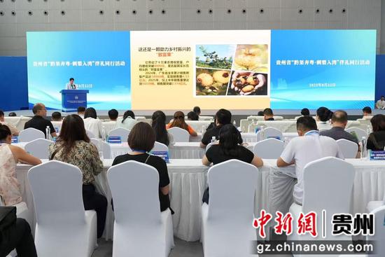 毕节市广播电视台供图