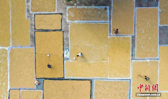 图为从江县刚边壮族乡良田村村民在晾晒稻谷。罗京来 摄