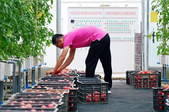 中国石油化工股分涨1.46%