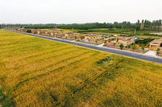 中国石油化工股分涨1.46%