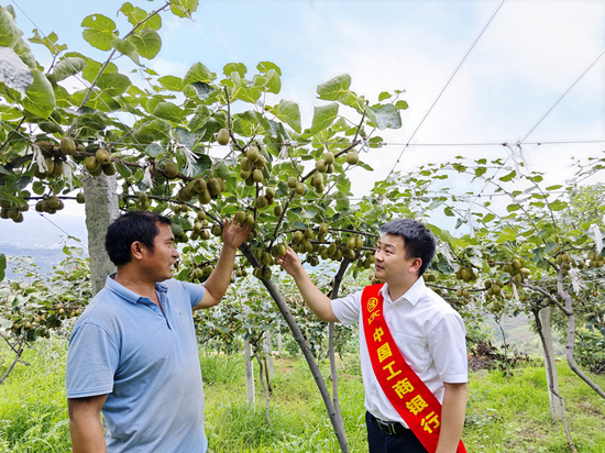 工行客户经理到农户家了解猕猴桃的种植情况