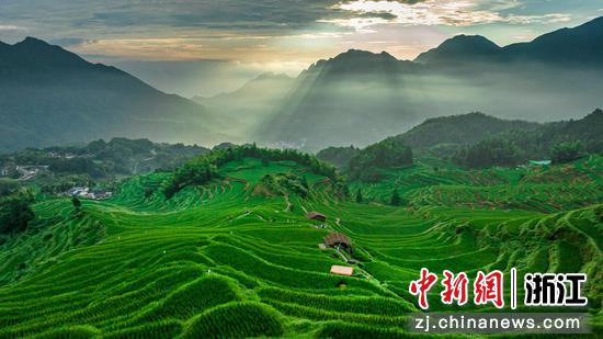 云和梯田日出。林晓洁供图 云和梯田日出。林晓洁供图