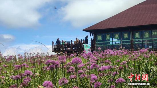 图为8月27日游客在韭菜坪景区观光。 盛灿 摄 图为8月27日游客在韭菜坪景区观光。 盛灿 摄