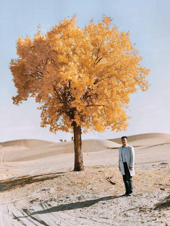 e9d947fb43ab025d9139289b85875f94