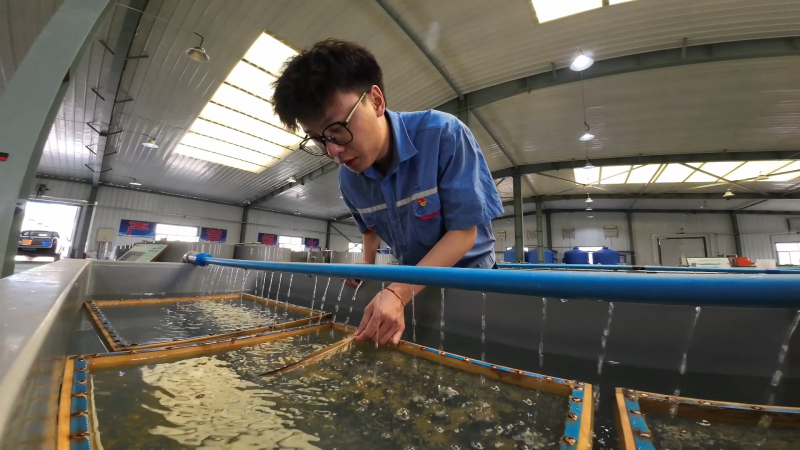 阿尔塔什水利枢纽工程增殖放流57万尾珍稀鱼苗
