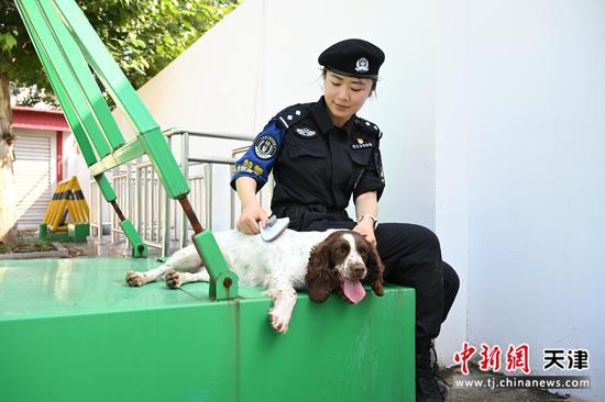 图为北京铁路公安局天津公安处特警支队训犬员程紫璇在给警犬小唯洗澡整理。（北京铁路公安局天津公安处供图）