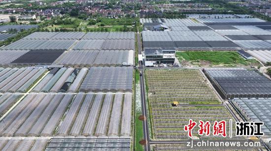“水映洲泉”共富大棚。洲泉镇供图