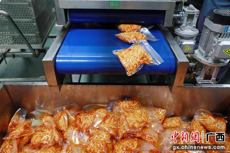 图为红油酸笋生产线。梁旎旎  摄