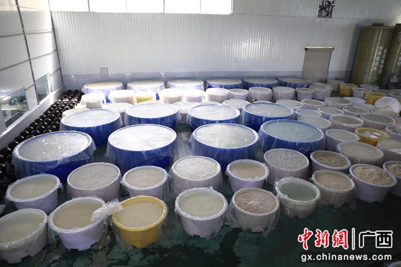 图为酸笋腌制厂房。梁旎旎  摄