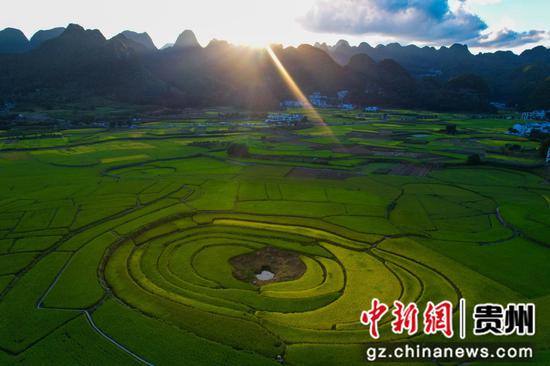 航拍贵州兴义万峰林“八卦田”错落有致色彩分明。李和江 摄 航拍贵州兴义万峰林“八卦田”错落有致色彩分明。李和江 摄