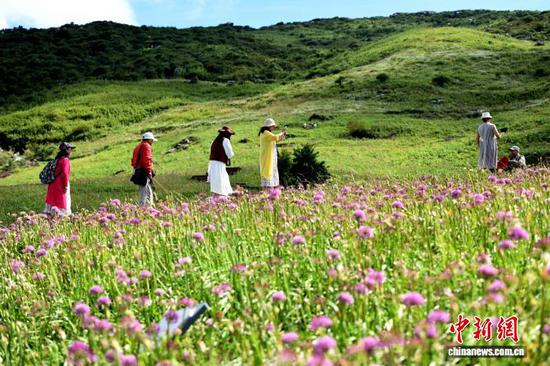 8月30日，游客在韭菜坪景区游玩。黄庆松 摄