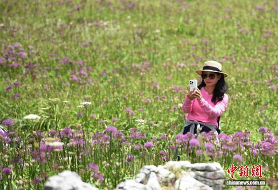 8月30日，游客在韭菜坪景区游玩。黄庆松 摄