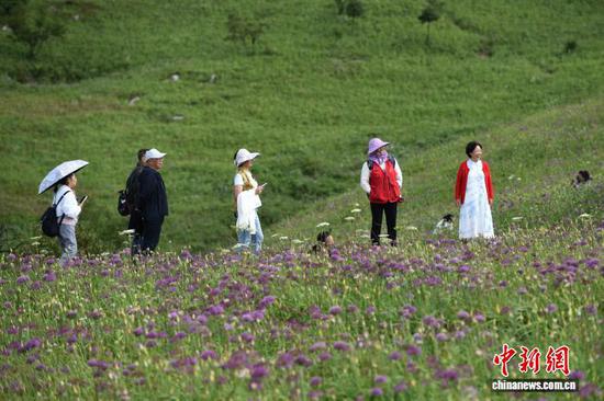 8月30日，游客在韭菜坪景区游玩。黄庆松 摄
