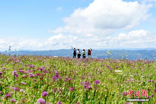 8月30日，游客在韭菜坪景区游玩。黄庆松 摄