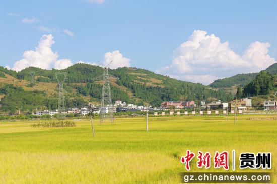 官院坝区大景 官院坝区大景